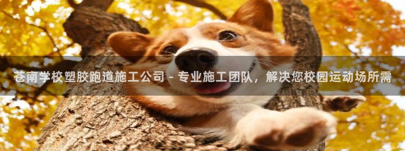 新2足球平台出租网站：苍南学校塑胶跑道施工公司 - 专业施工团队，解决您校园运动场所需