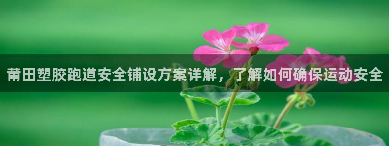 红足一生世：莆田塑胶跑道安全铺设方案详解，了解如何确保运动安全
