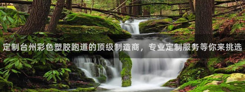 红足1世开奖预测：定制台州彩色塑胶跑道的顶级制造商，专业定制服务等你来挑选