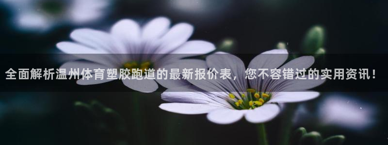 百度红足一1是什么样子的：全面解析温州体育塑胶跑道的最新报价表，您不容错过的实用资讯！