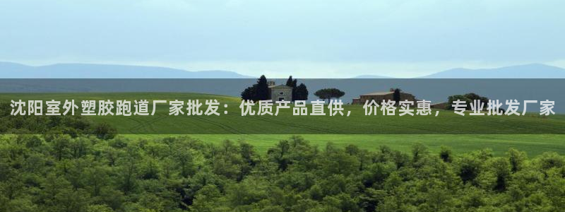 红足一1世皇冠地址：沈阳室外塑胶跑道厂家批发：优质产品直供，价格实惠，专业批发厂家