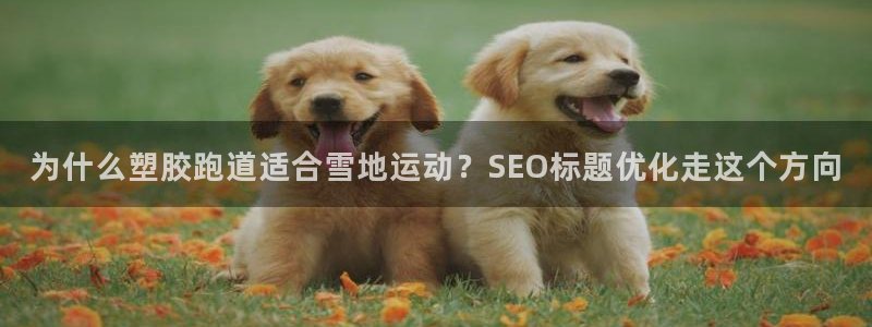 红足1世官网：为什么塑胶跑道适合雪地运动？SEO标题优化走这个方向