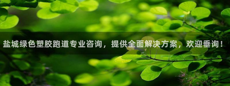 55814红足1世：盐城绿色塑胶跑道专业咨询，提供全面解决方案，欢迎垂询！