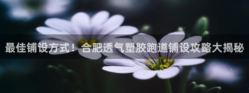 777814红·足一世：最佳铺设方式！合肥透气塑胶跑道铺设攻略大揭秘