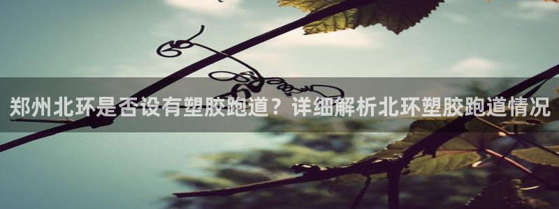 红足1世手足球比分：郑州北环是否设有塑胶跑道？详细解析北环塑胶跑道情况