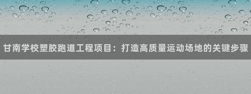 红姐现场直播开奖记录：甘南学校塑胶跑道工程项目：打造高质量运动场地的关键步骤