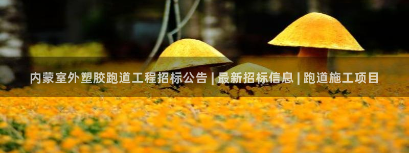 红足一1世开奖记录：内蒙室外塑胶跑道工程招标公告 | 最新招标信息 | 跑道施工项目