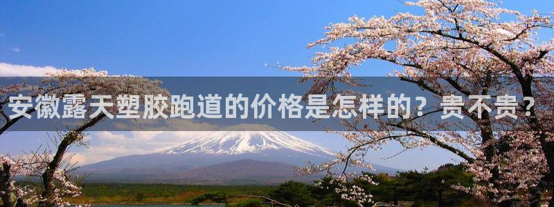 红足体育网：安徽露天塑胶跑道的价格是怎样的？贵不贵？