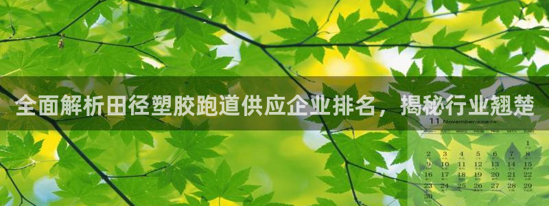 红足一比分网：全面解析田径塑胶跑道供应企业排名，揭秘行业翘楚