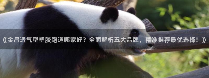 红足一1世手机版赛果