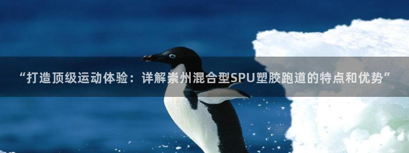 红足1一世：“打造顶级运动体验：详解崇州混合型SPU塑胶跑道的特点和优势”