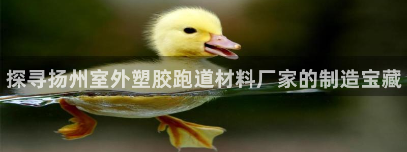 红足一1世皇冠地址：探寻扬州室外塑胶跑道材料厂家的制造宝藏
