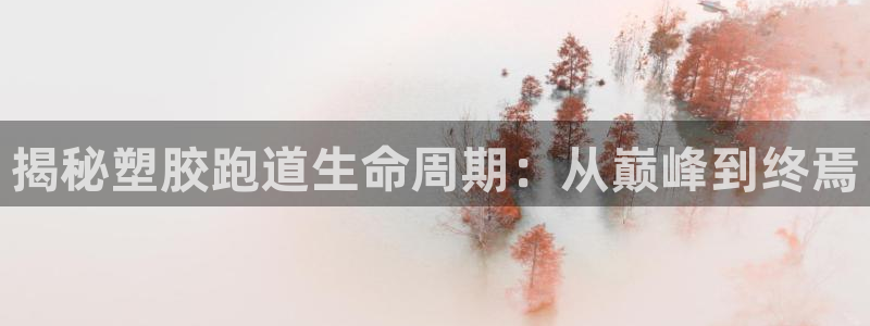 红足1世足球网址大全：揭秘塑胶跑道生命周期：从巅峰到终焉