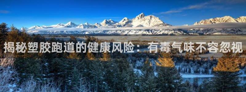333814红·足一世比分：揭秘塑胶跑道的健康风险：有毒气味不容忽视
