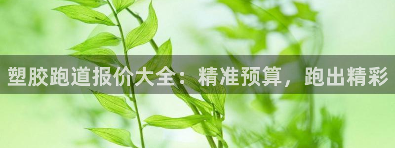 红足一1世：塑胶跑道报价大全：精准预算，跑出精彩