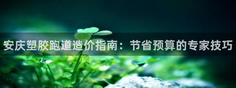 红足一1世：安庆塑胶跑道造价指南：节省预算的专家技巧