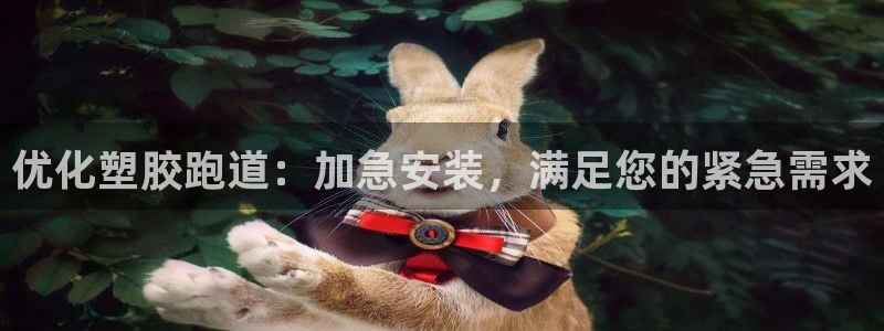红足1世手足球比分