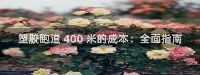 红姐现场直播开奖记录：塑胶跑道 400 米的成本：全面指南