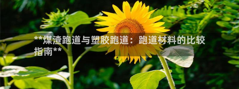 红足 世足球手机网