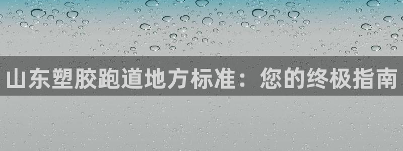 红足一球：山东塑胶跑道地方标准：您的终极指南