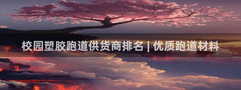 百度红足一1使用说明：校园塑胶跑道供货商排名 | 优质跑道材料
