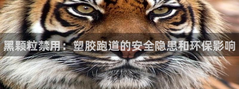 红足一1世666814足球比分网：黑颗粒禁用：塑胶跑道的安全隐患和环保影响