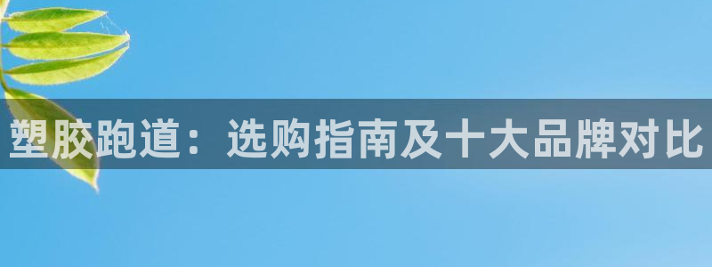 红足1一世 2站：塑胶跑道：选购指南及十大品牌对比