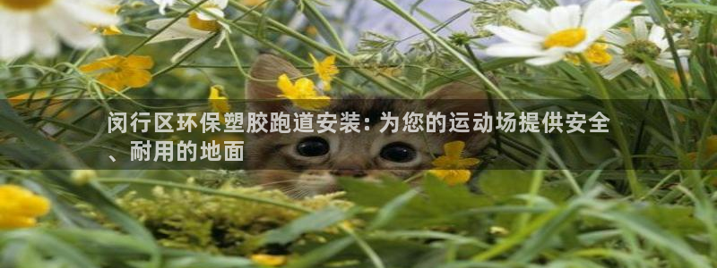 红足一球：闵行区环保塑胶跑道安装: 为您的运动场提供安全
、耐用的地面
