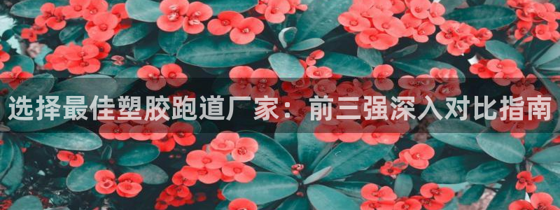 红足一1世开奖记录：选择最佳塑胶跑道厂家：前三强深入对比指南