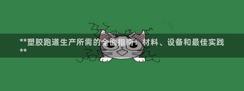 777814红·足一世比分：**塑胶跑道生产所需的全面指南：材料、设备和最佳实践
**