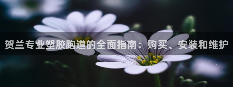 红足一1世手机版新皇冠：贺兰专业塑胶跑道的全面指南：购买、安装和维护