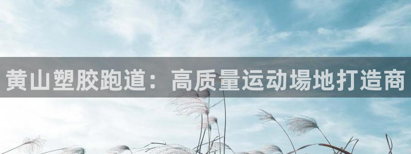 红足一一世足球网开奖记录：黄山塑胶跑道：高质量运动場地打造商