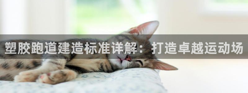 红足1一世开奖版：塑胶跑道建造标准详解：打造卓越运动场