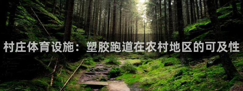 红足一1世手机皇冠：村庄体育设施：塑胶跑道在农村地区的可及性