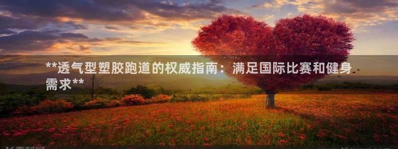 红足足球网：**透气型塑胶跑道的权威指南：满足国际比赛和健身
需求**