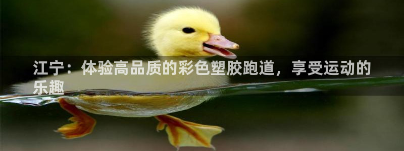 66814红足一66814世