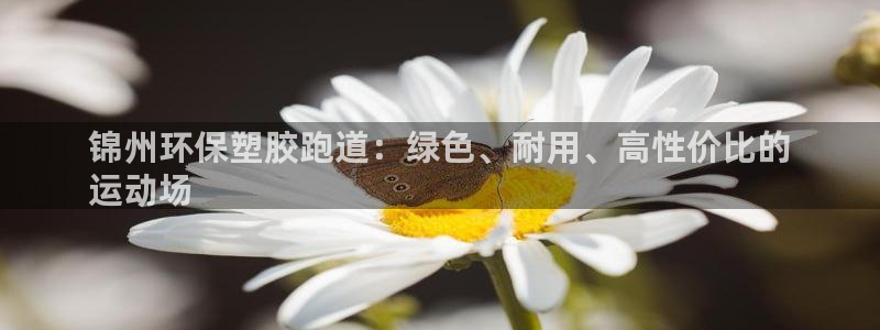 红姐现场直播开奖记录