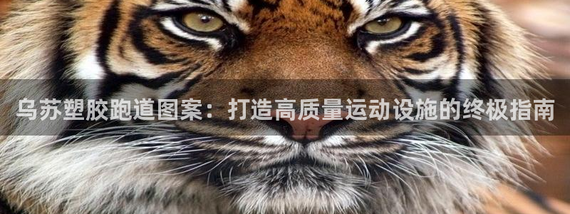 红足一1世比分