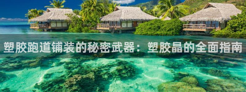 红足1世手机版下载：塑胶跑道铺装的秘密武器：塑胶晶的全面指南