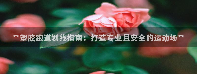 77814红足1世：**塑胶跑道划线指南：打造专业且安全的运动场**