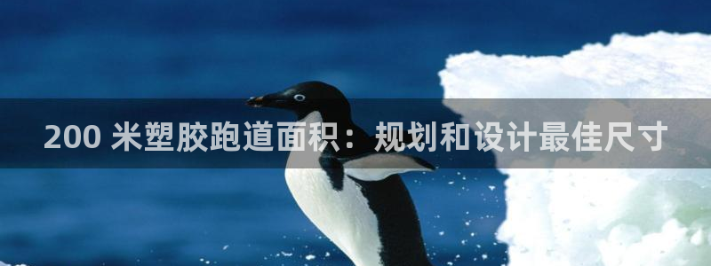 红足1世手机板：200 米塑胶跑道面积：规划和设计最佳尺寸