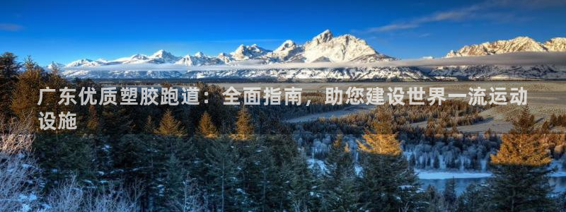 红足一一世足球网开奖记录：广东优质塑胶跑道：全面指南，助您建设世界一流运动
设施