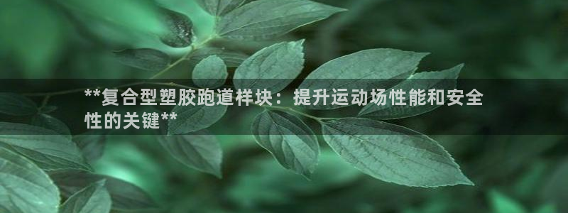 红足1世足球：**复合型塑胶跑道样块：提升运动场性能和安全
性的关键**
