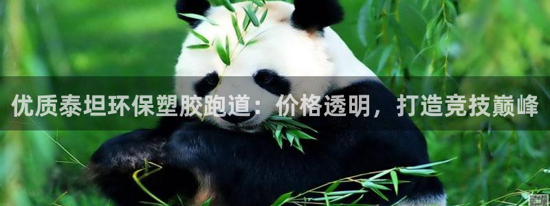 红足1世手机版下载：优质泰坦环保塑胶跑道：价格透明，打造竞技巅峰