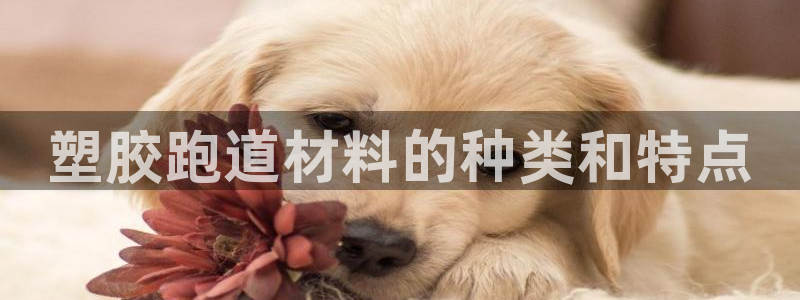 红足1一世红：塑胶跑道材料的种类和特点
