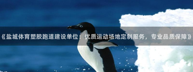 百度红足一1是什么样子的：《盐城体育塑胶跑道建设单位：优质运动场地定制服务，专业品质保障》