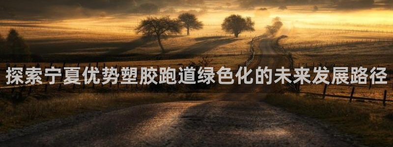 红足一1世比分球探：探索宁夏优势塑胶跑道绿色化的未来发展路径