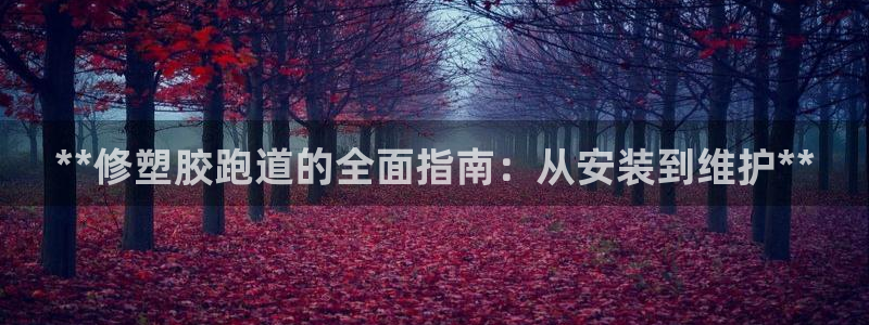 红足一1世666814足球比分网：**修塑胶跑道的全面指南：从安装到维护**
