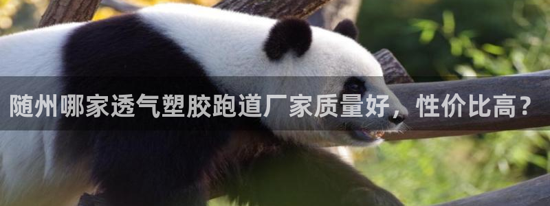 百度红足一1是为什么：随州哪家透气塑胶跑道厂家质量好，性价比高？