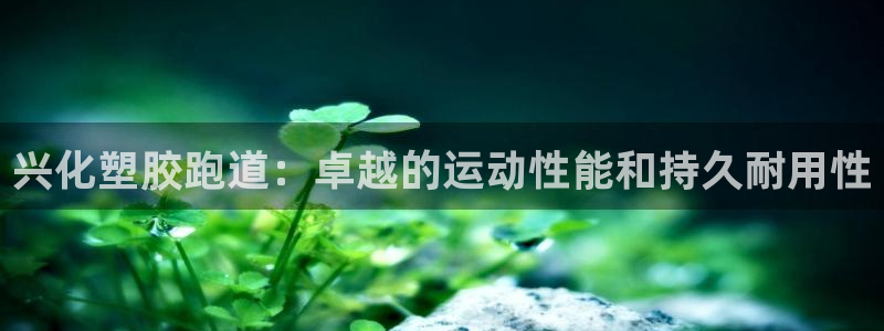 红足l一世开奖现场62ty：兴化塑胶跑道：卓越的运动性能和持久耐用性